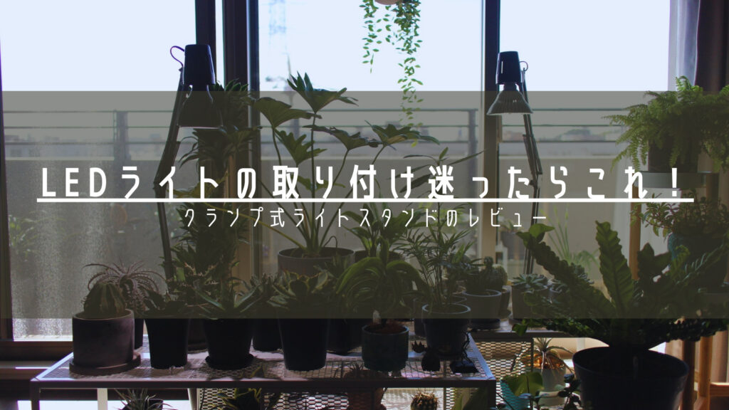 植物育成用LEDライトの取り付け方に迷ったらこれ！ークランプ式ライトスタンドのレビュー記事ー - Plants Calendar