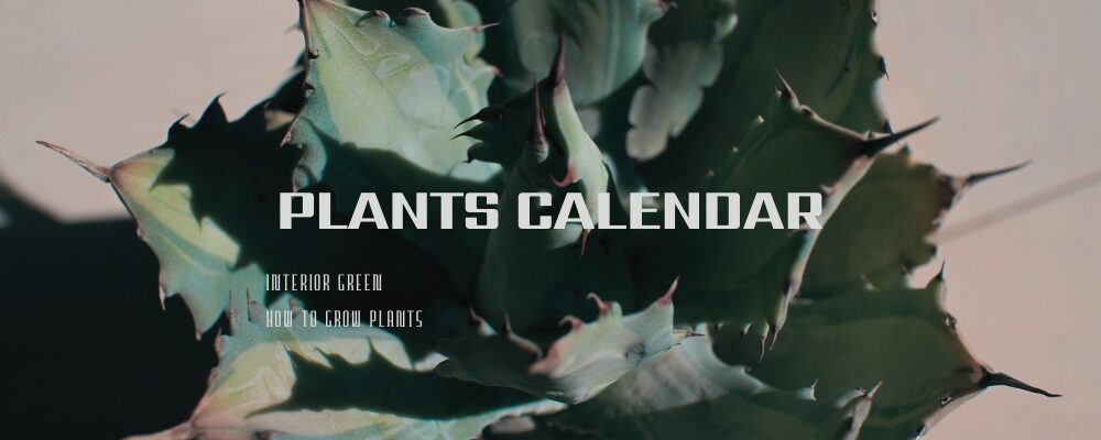 Plants Calendar